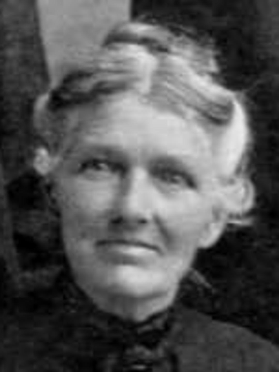 Emeline Louise Knowles (1852 - 1911) Profile